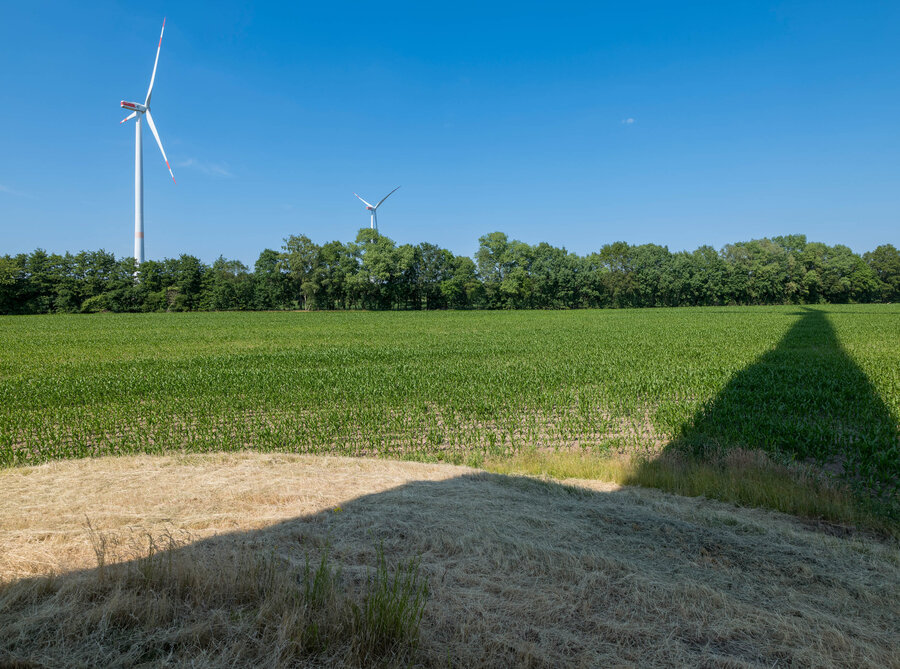 Feld mit Schatten eines Windrades