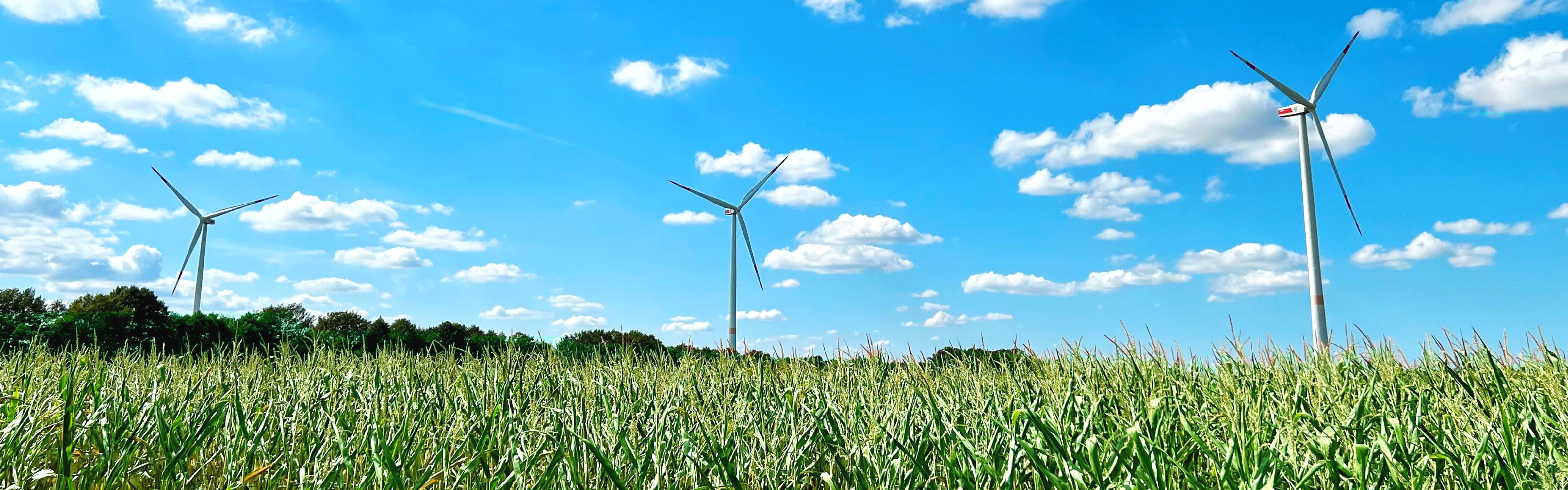 Foto Windpark in Quendorf, Schüttorf