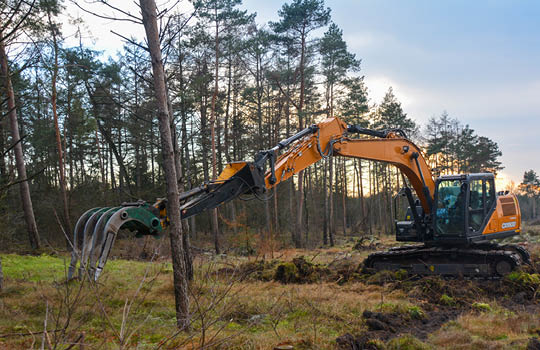 Oranger Bagger im Wald