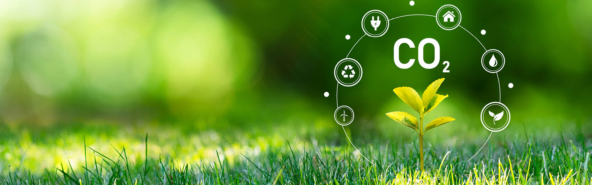 Icons zum Thema Nachhaltigkeit auf einer grünen Wiese.
