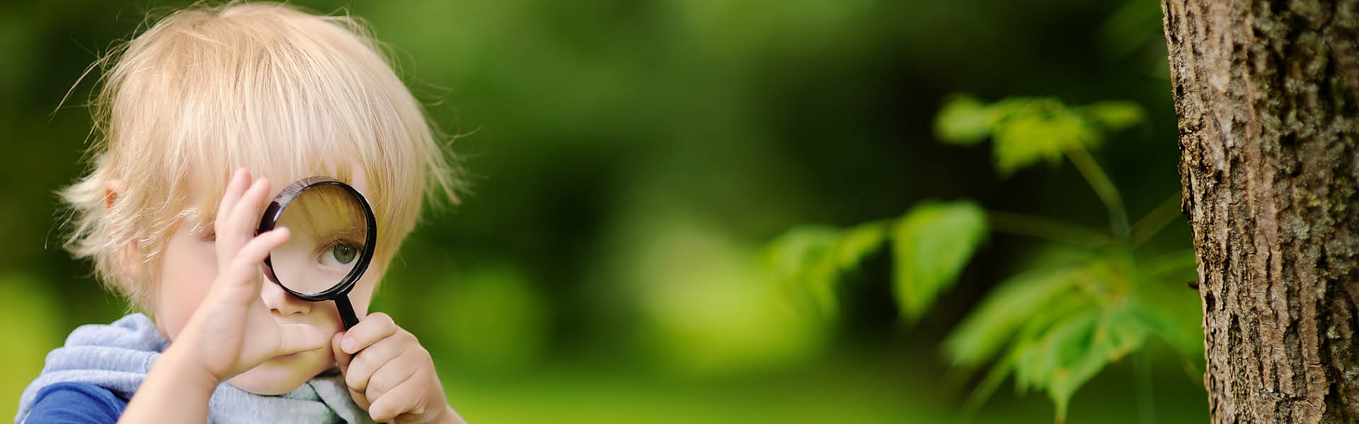 Junge im Wald hält Lupe in der Hand.